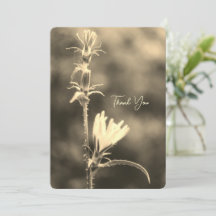 Romantische bomen & bloemen – Botanische fantasie 