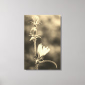 Romantische Bomen & Bloemen – Botanische Fantasy B Canvas Afdruk (Voorkant)