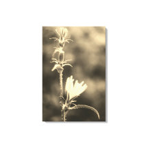 Romantische Bomen & Bloemen – Botanische Fantasy B