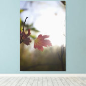 Romantische Bomen & Bloemen – Botanische Fantasy B Canvas Afdruk (Insitu (Houten vloer))