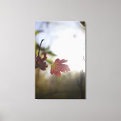 Romantische Bomen & Bloemen – Botanische Fantasy B Canvas Afdruk (Voorkant)