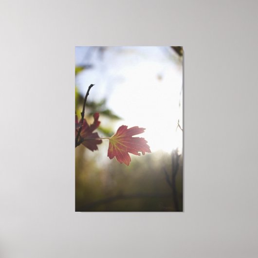 Romantische Bomen & Bloemen – Botanische Fantasy B Canvas Afdruk (Voorkant)
