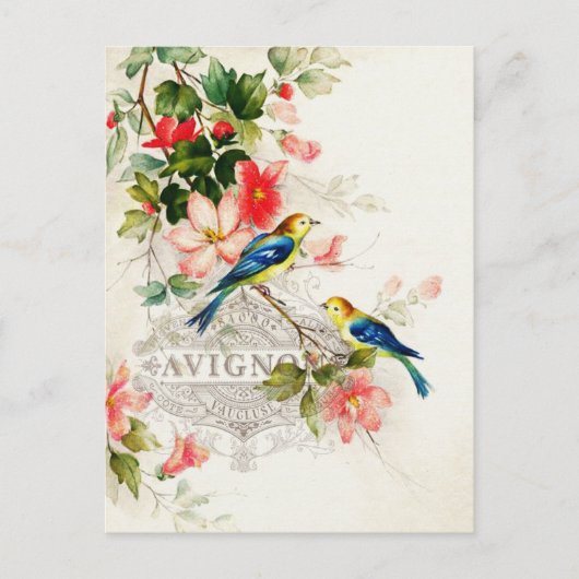 -Romantische Briefpapier vogels Briefkaart (Voorkant)