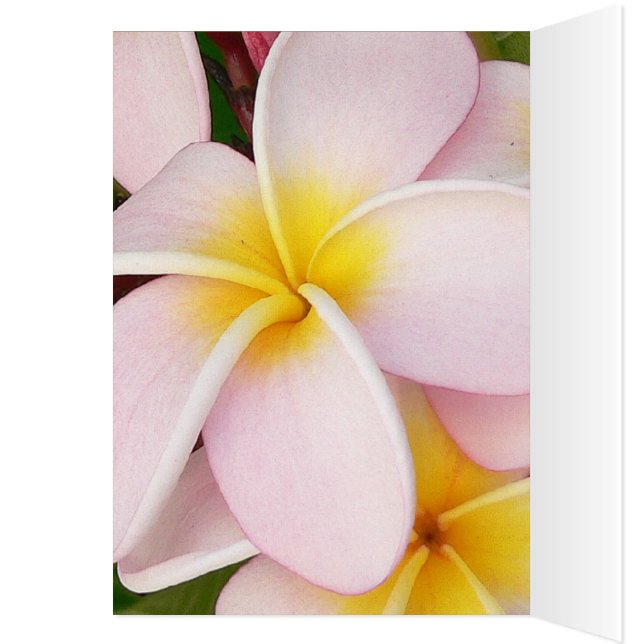 romantische datum bloemen rsvp kleurrijk chic (Binnen (Links))