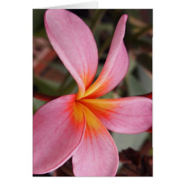romantische datum bloemen rsvp kleurrijk chic