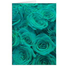 Romantische elegant blauwgroen - groene rozen