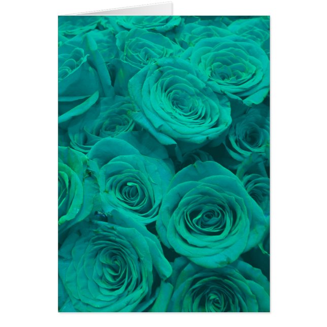 Romantische elegant blauwgroen - groene rozen (Voorkant)