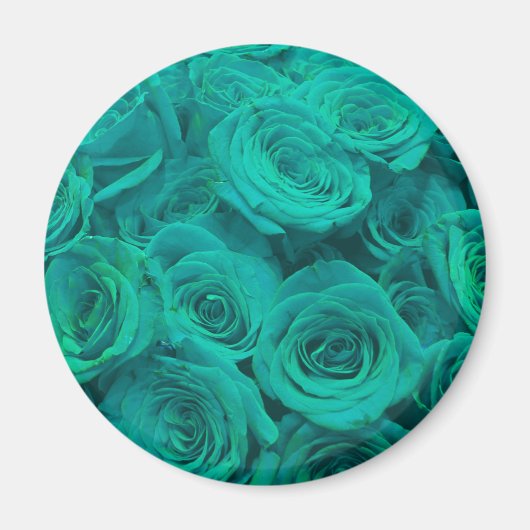 Romantische elegant blauwgroen - groene rozen magneet (Voorkant)