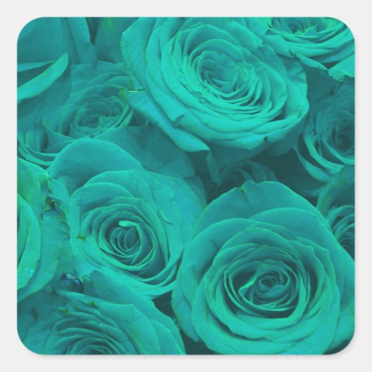 Romantische elegante blauwgroen groene rozen flora vierkante sticker (Voorkant)