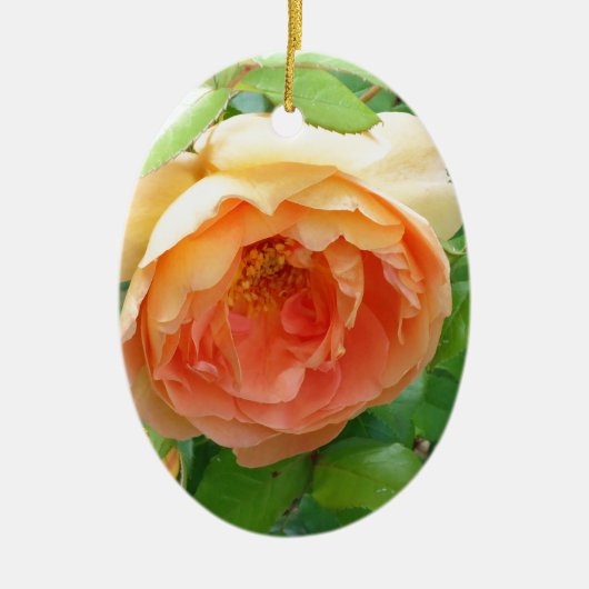 Romantische elegante Oranje Rozen foto Keramisch Ornament (Voorkant)