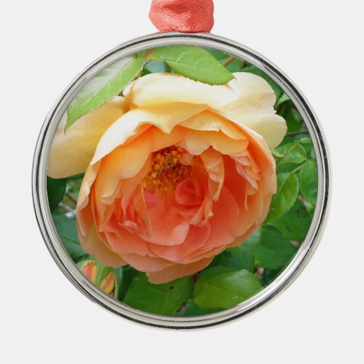 Romantische elegante Oranje Rozen Metalen Ornament (Voorkant)