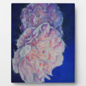 Romantische elegante roze witte pastel waterverf fotoplaat (Voorkant)