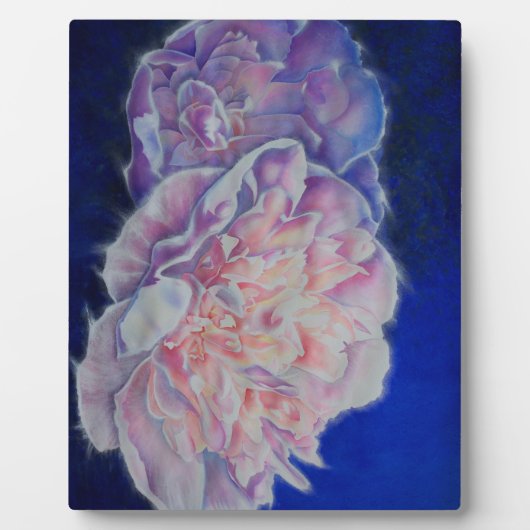 Romantische elegante roze witte pastel waterverf fotoplaat (Voorkant)