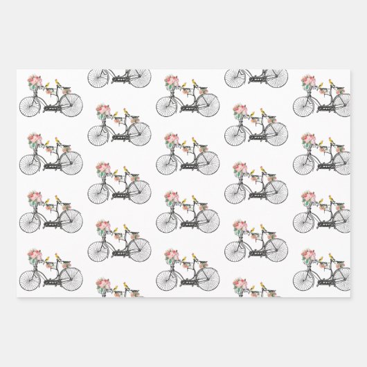 Romantische  fietsbloemen en -vogels inpakpapier vel (Voorkant)