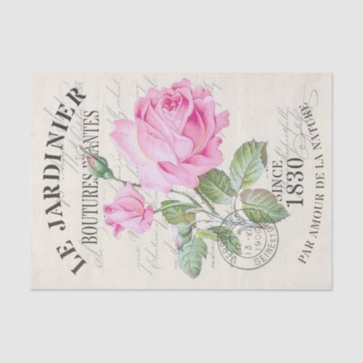 Romantische  Franse roze pony Flower Tissuepapier (Voorkant)