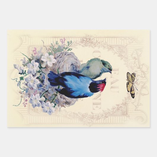 Romantische Franstalige Shabby Chic-vogels en vlin Inpakpapier Vel (Voorkant 3)