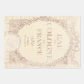 Romantische Franstalige Shabby Chic-vogels en vlin Inpakpapier Vel (Voorkant 2)