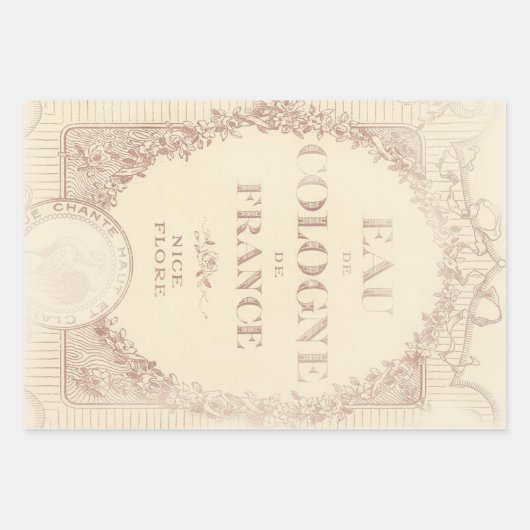 Romantische Franstalige Shabby Chic-vogels en vlin Inpakpapier Vel (Voorkant 2)