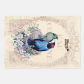 Romantische Franstalige Shabby Chic-vogels en vlin Inpakpapier Vel (Voorkant)