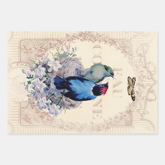 Romantische Franstalige Shabby Chic-vogels en vlin Inpakpapier Vel (Voorkant)