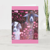 Romantische geiten en Jubileum van het hart Kaart (Voorkant)