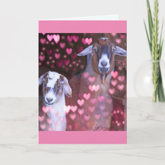 Romantische geiten en Jubileum van het hart Kaart (Voorkant)