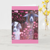 Romantische geiten en Jubileum van het hart Kaart (Gele Bloem)