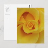 Romantische gele rozenblaadjes briefkaart (Voorkant / Achterkant)