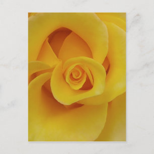Romantische gele rozenblaadjes briefkaart