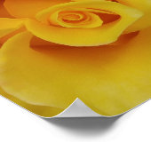 Romantische gele rozenblaadjes poster (Hoek)