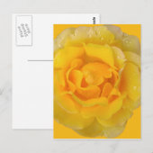 Romantische Gele Rozenwaterdruppels Briefkaart (Voorkant / Achterkant)