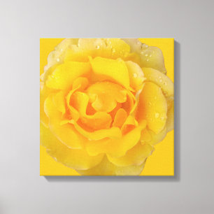 Romantische gele rozenwaterdruppels canvas afdruk