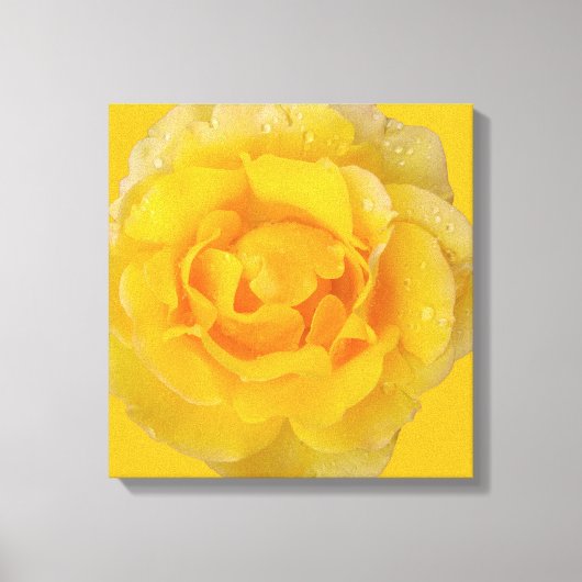 Romantische gele rozenwaterdruppels canvas afdruk (Voorkant)
