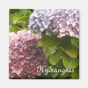 Romantische Hortensia's Magneet