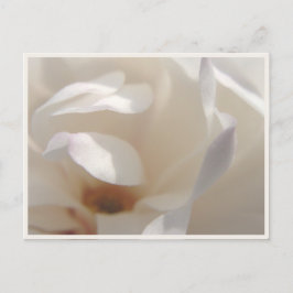Romantische ivoor magnolia save the date aankondigingskaart