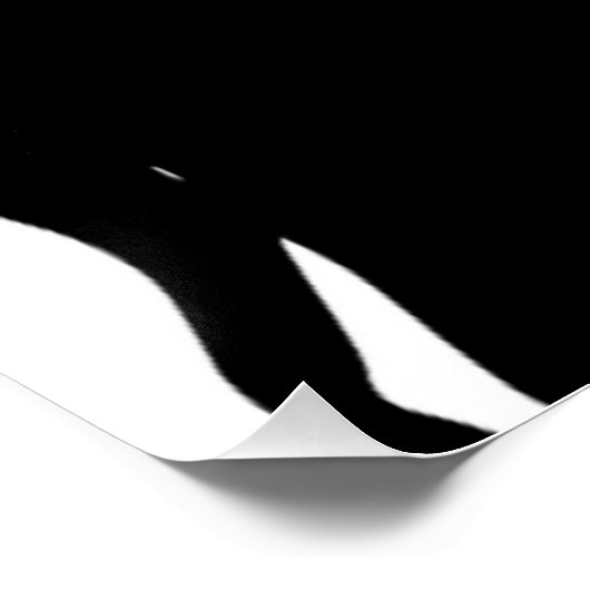 ROMANTISCHE KOPEL SILHOUETTE POSTER (Hoek)