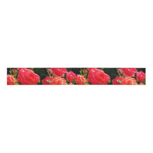 Romantische koraalRozen Grosgrain Lint