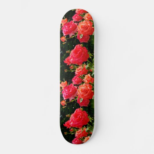 Romantische koraalRozen Persoonlijk Skateboard (Voorkant)