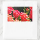 Romantische koraalRozen Rechthoekige Sticker (Tas)