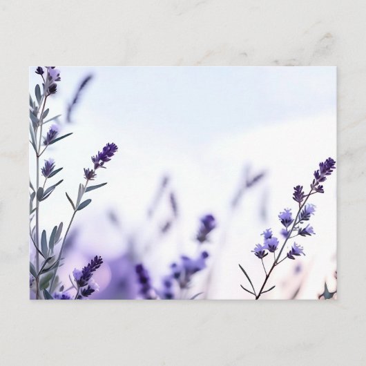 Romantische lavendel Waterverf Briefkaart (Voorkant)