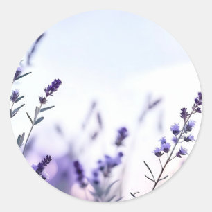 Romantische lavendel Waterverf Ronde Sticker