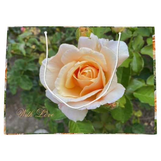 Romantische Oranje Rozen Bloem Fotografie Floral Groot Cadeauzakje (Voorkant)