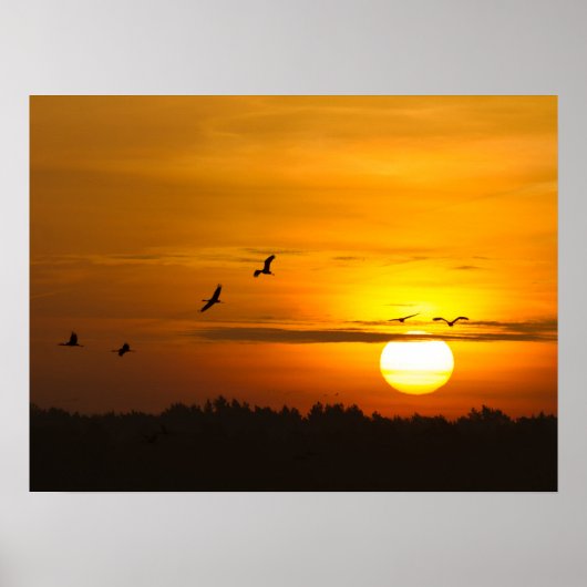 Romantische oranje zonsondergang met vliegende kra poster (Voorkant)