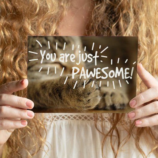 Romantische paardenkat Valentijns Briefkaart