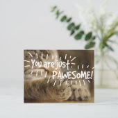 Romantische paardenkat Valentijns Briefkaart (Staand voorkant)