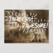 Romantische paardenkat Valentijns Briefkaart (Voorkant)