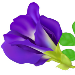 Romantische Paarse Bloem Bewaar de Datum Magneet