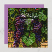 romantische paarse druiven wijngaarden bruiloft kaart (Voorkant / Achterkant)