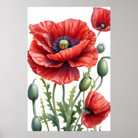 Romantische papaver bloemen bloesem digitale kunst poster (Voorkant)