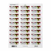 Romantische rode aquarelrozen en lantaarn bruiloft etiket (Full Sheet)